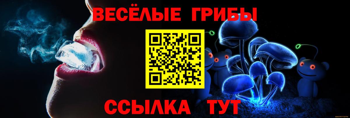 Галлюциногенные грибы Psilocybe  Псилоцибиновые грибы Cubensis  Кингисепп  Вход с VPN 